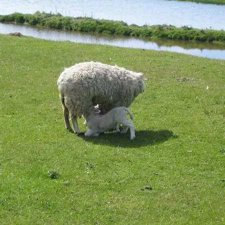 Διαμέρισμα Haus Halligblick, Am Wattenmeer, Whg Groede *