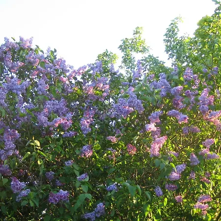 Haus Halligblick, Am Wattenmeer, Whg Groede Διαμέρισμα *